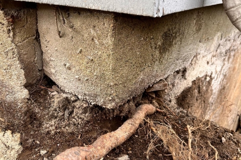 root under home foundation