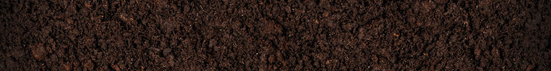 Professional Contaminated Soil Removal Services - New England